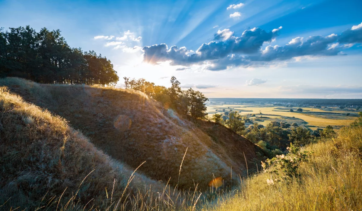 Łóżka składane: Praktyczne rozwiązanie dla małych przestrzeni