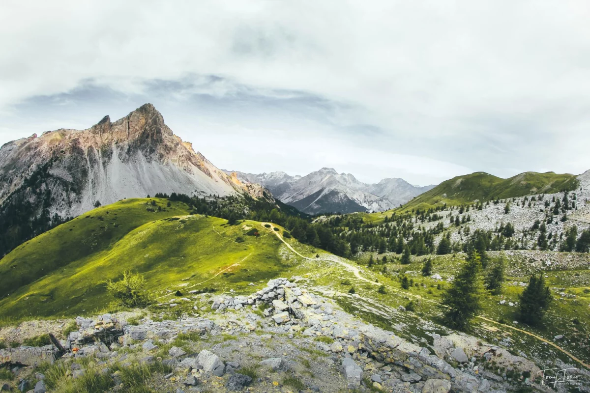 Raportowanie CBAM dla importerów elektroniki: Kluczowe informacje i wyzwania