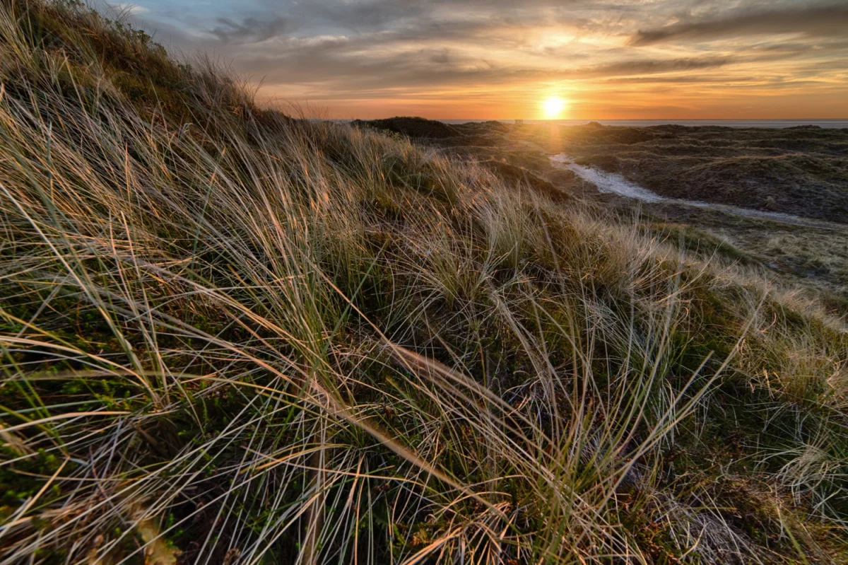 Obsługa firm w zakresie ochrony środowiska: Klucz do Zrównoważonego Rozwoju i Odpowiedzialności Ekologicznej