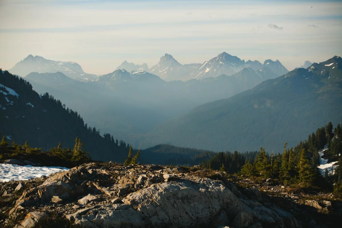 Przygotuj biznes na wyzwania EUDR w branży prawnej: Kluczowe kroki do adaptacji w erze regulacji