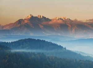 Łóżka składane: Praktyczne rozwiązanie dla małych przestrzeni