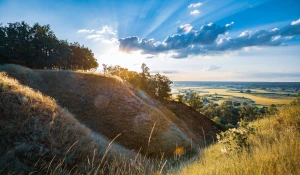 Przygotuj biznes na wyzwania EUDR w branży gastronomicznej: Kluczowe kroki do zrównoważonego rozwoju